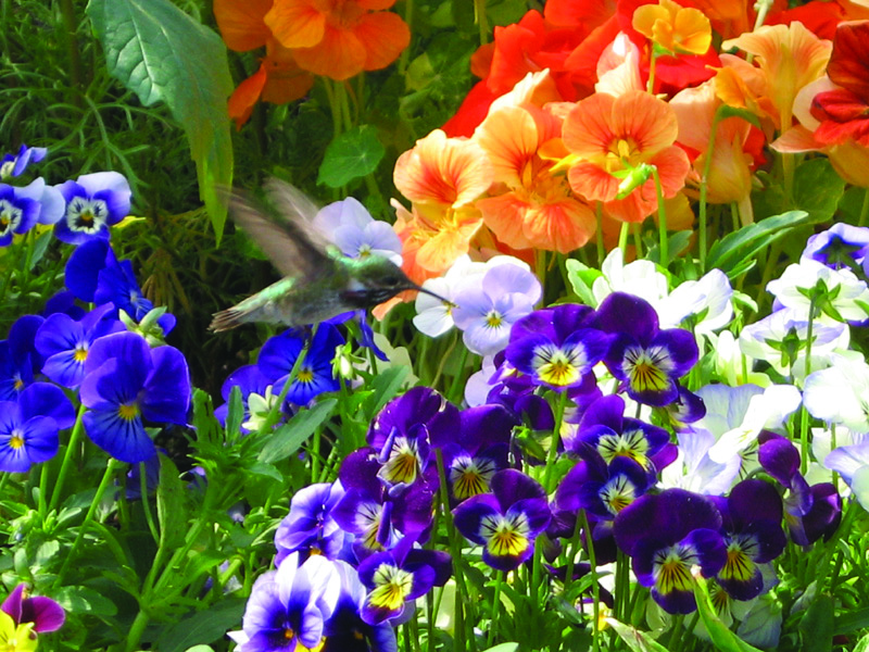 d8818f55-327d-4105-be9d-55148c76cbf3